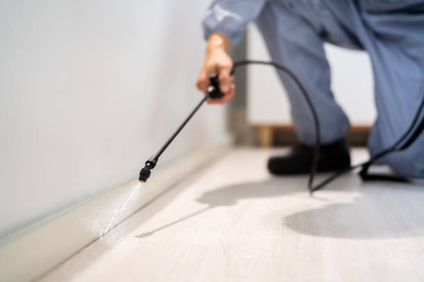Professional exterminator conducting IPM assessment in McHenry