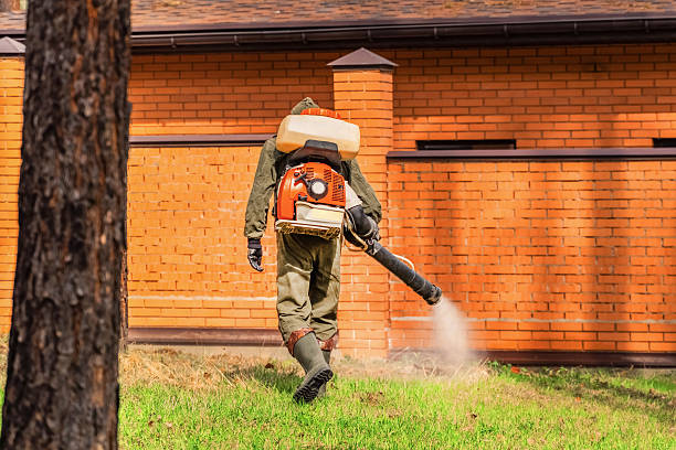 Top rated local Wasp Removal specialists in McHenry, IL